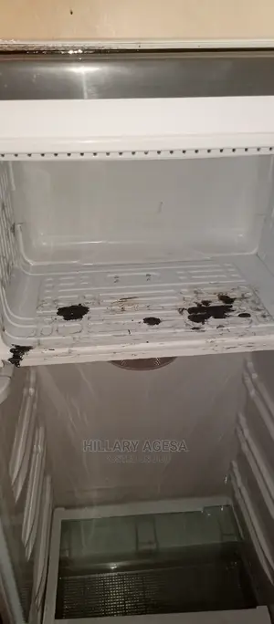 Fridge Repair Services