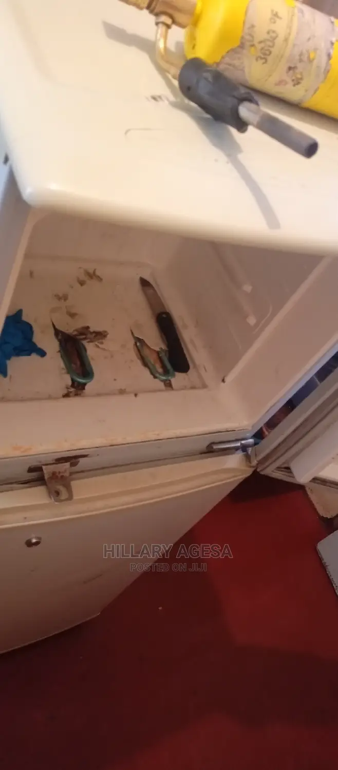 Fridge Repair Services