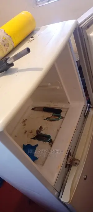 Fridge Repair Services