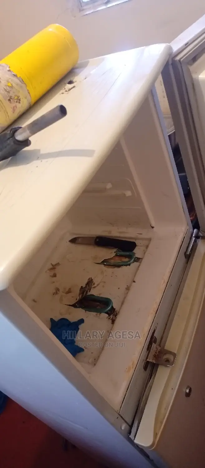 Fridge Repair Services