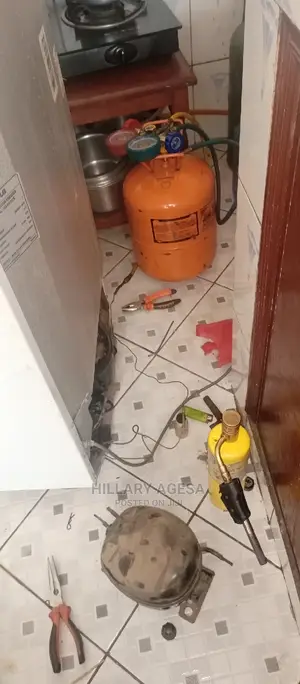 Fridge Repair Services