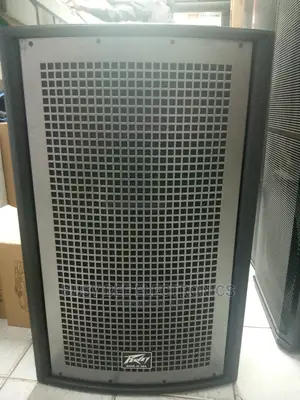 Peavy Midrange Speaker
