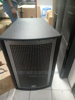 Peavy Midrange Speaker