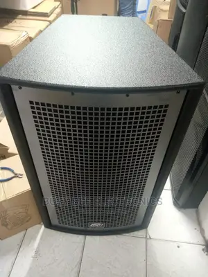Peavy Midrange Speaker