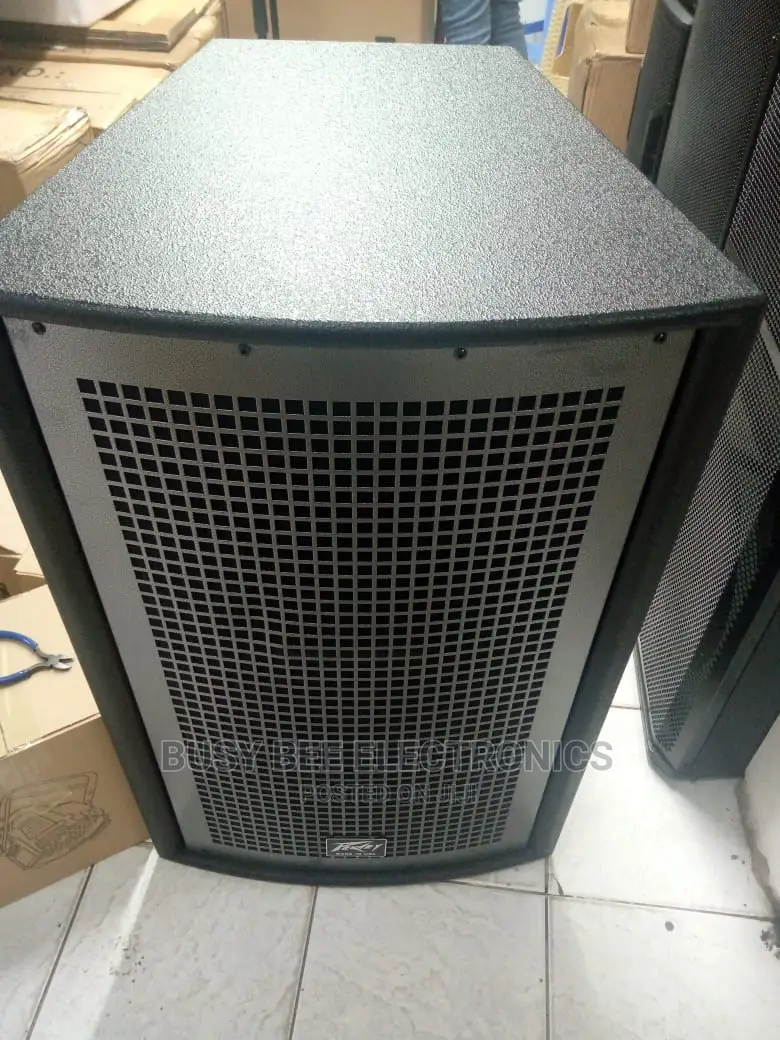 Peavy Midrange Speaker