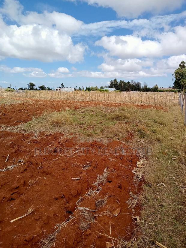 1/2 Acre Plot Kuinet With Title - thumbnail 2