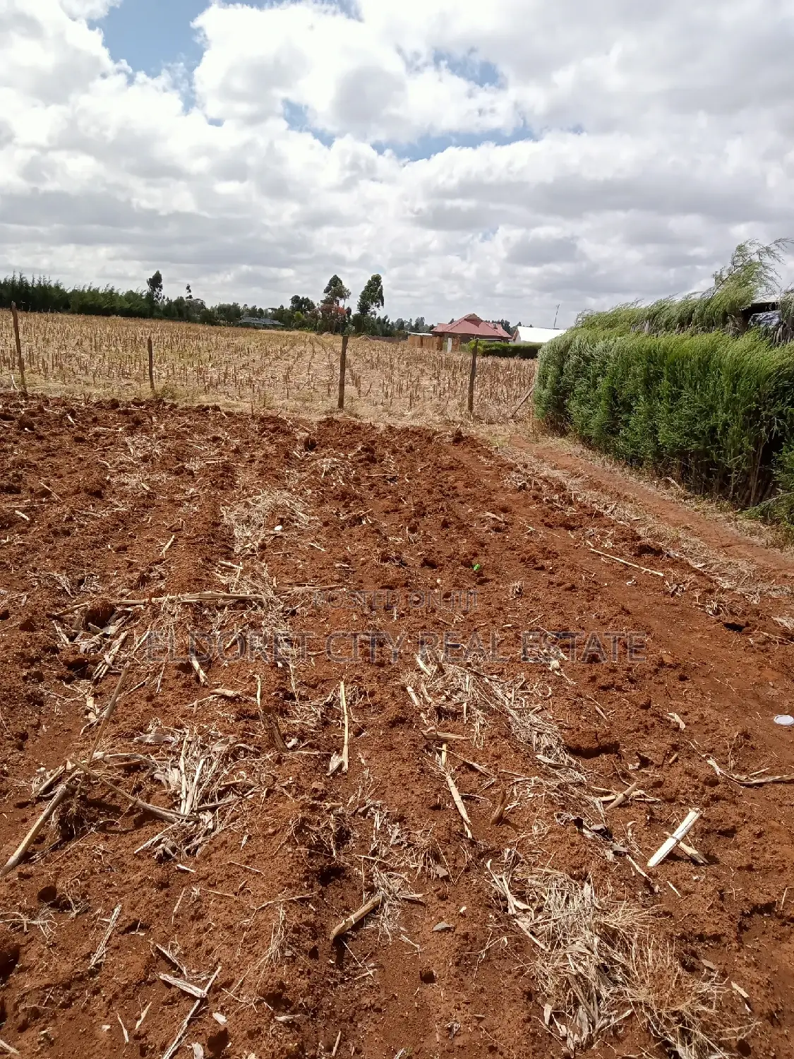 1/8 Plot Kuinet Ideal for Rental