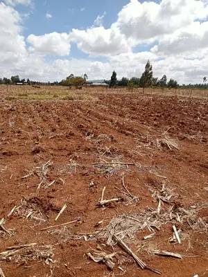 1/8 Plot Kuinet Ideal for Rental