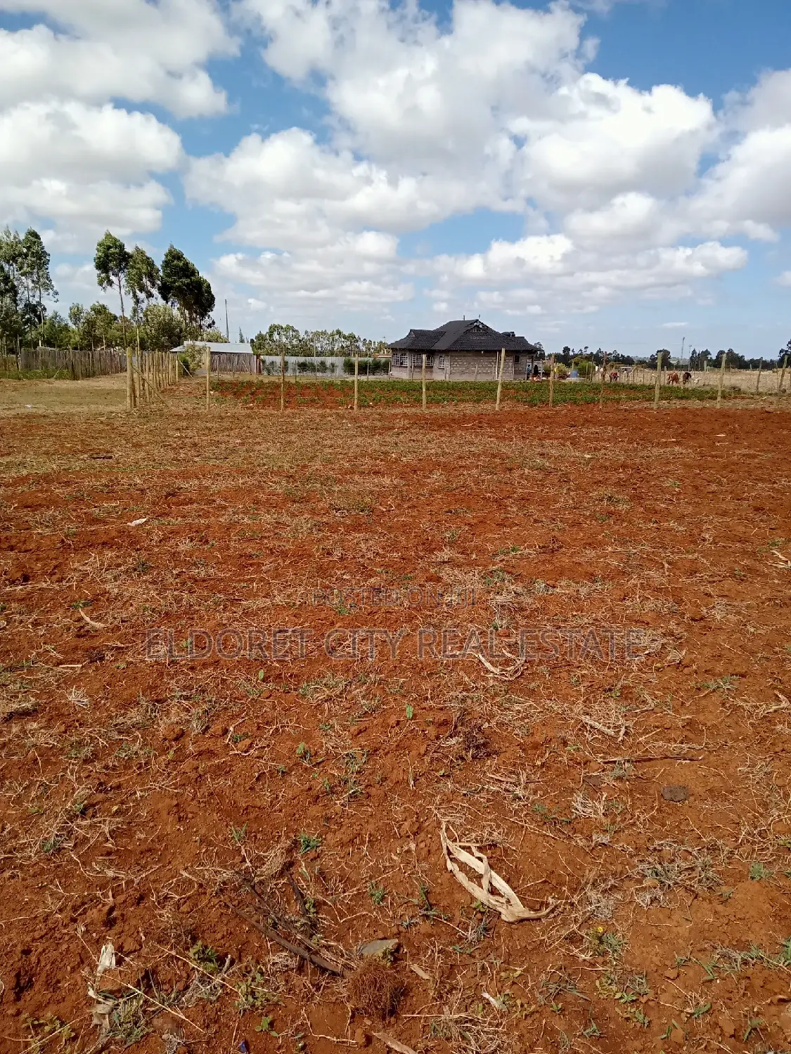1/4 Plot Kuinet With Title Less Than 150 Metres From Tarmac