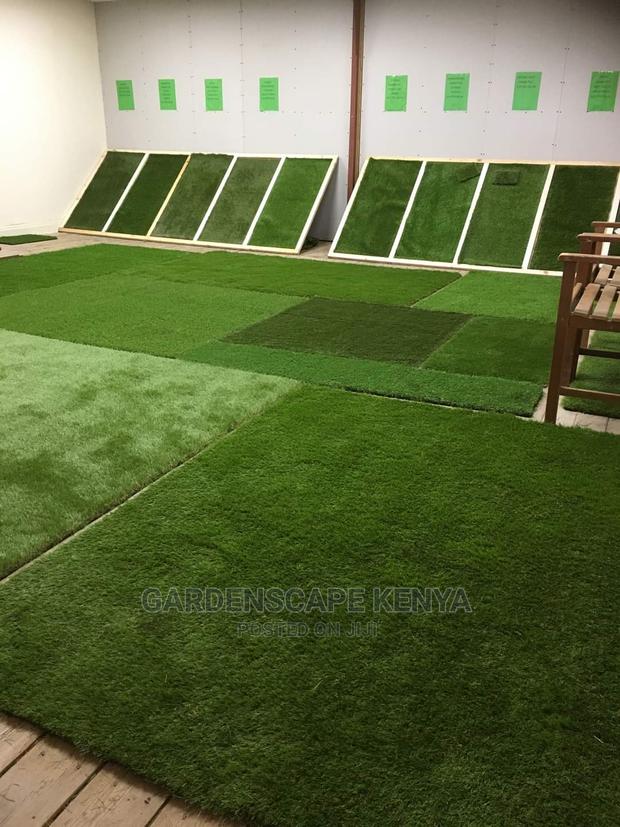 Artificial Grasses/Turf - main view