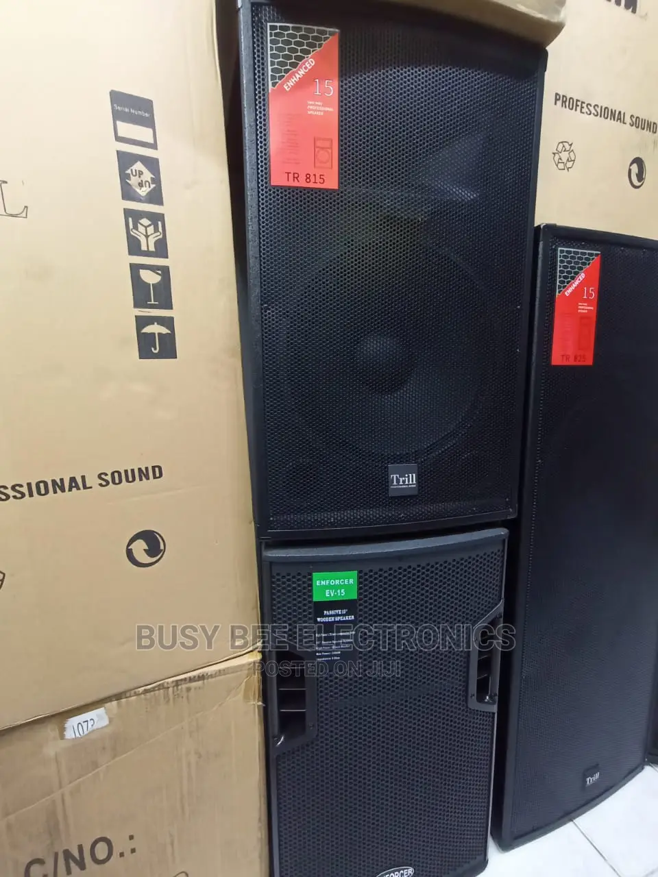 Trill 15" Speaker
