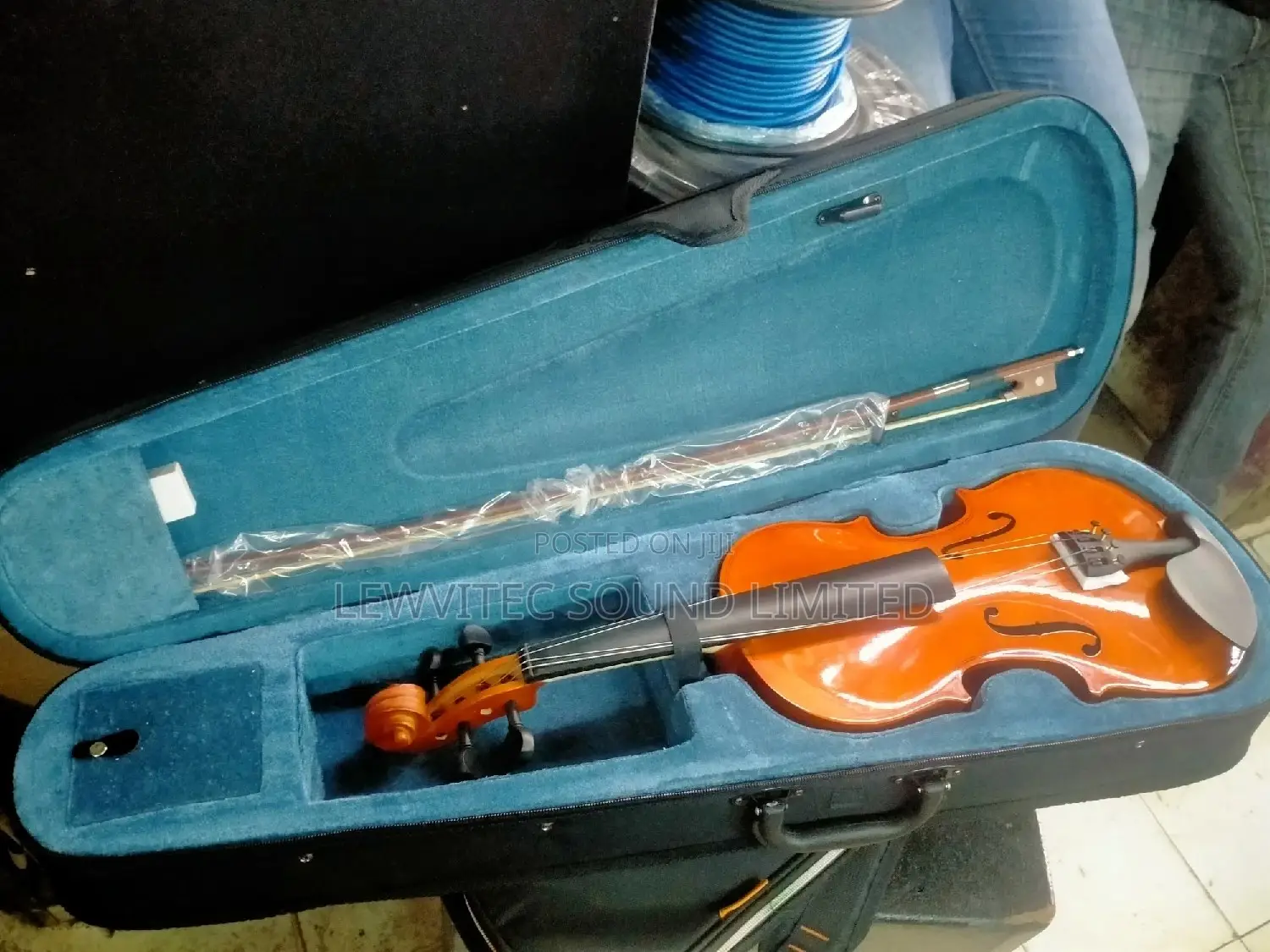 Violin Big Size