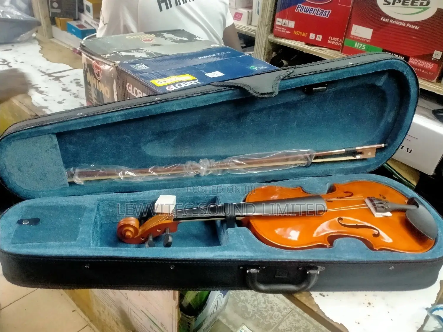 Bluish Violin