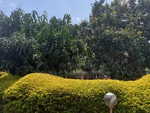 5bdrm Mansion in Garden Estate /Thome for sale