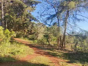 Karatina/Karogoto Quota Acre