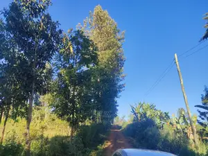 Karatina/Karogoto Quota Acre