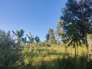Karatina/Karogoto Quota Acre