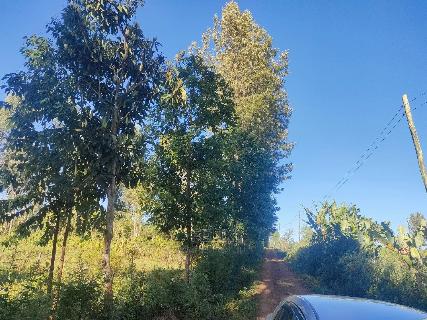 Karatina/Karogoto Quota Acre