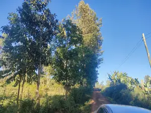 Karatina/Karogoto Quota Acre