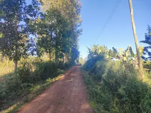 Karatina/Karogoto Quota Acre