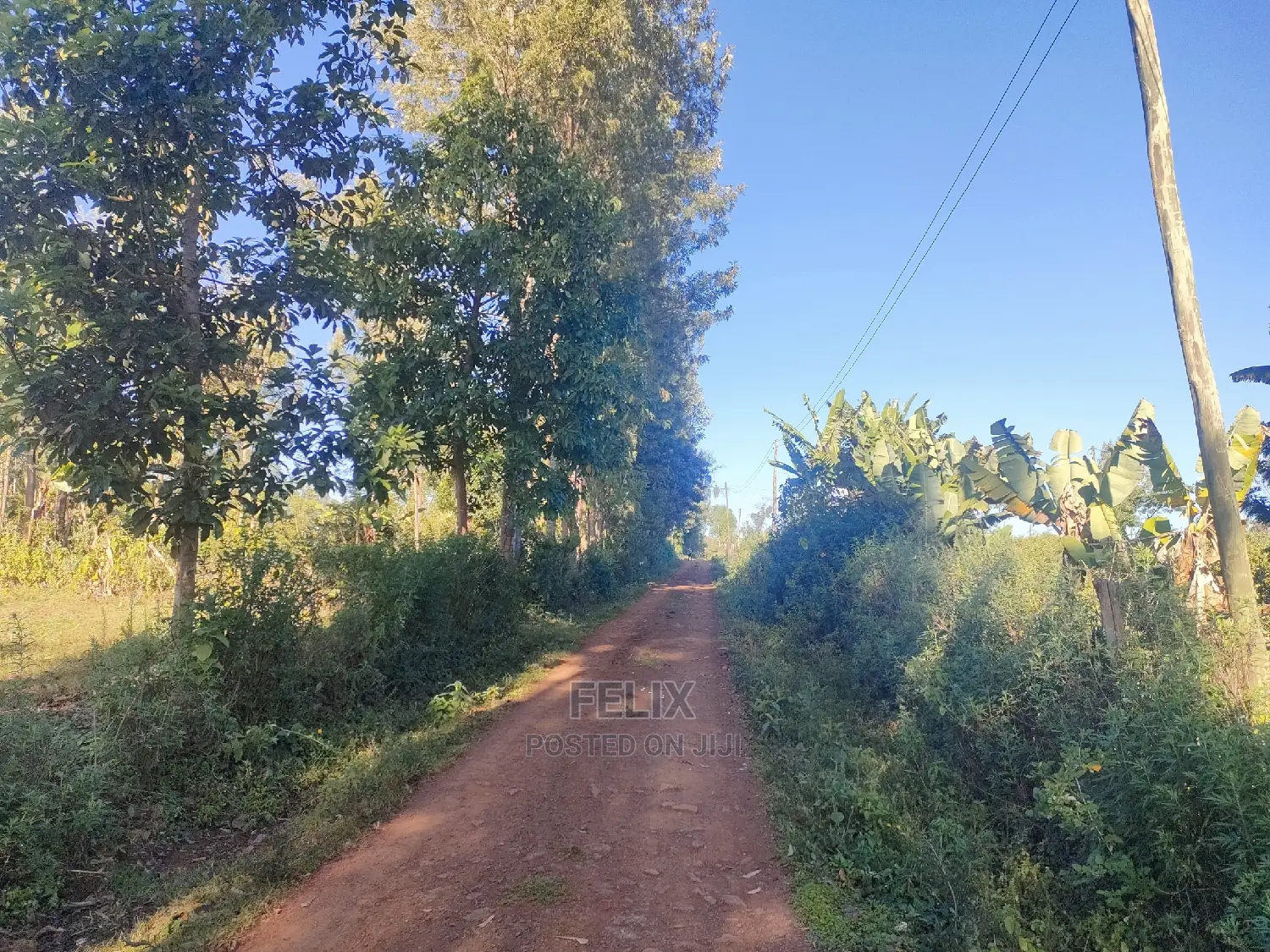Karatina/Karogoto Quota Acre