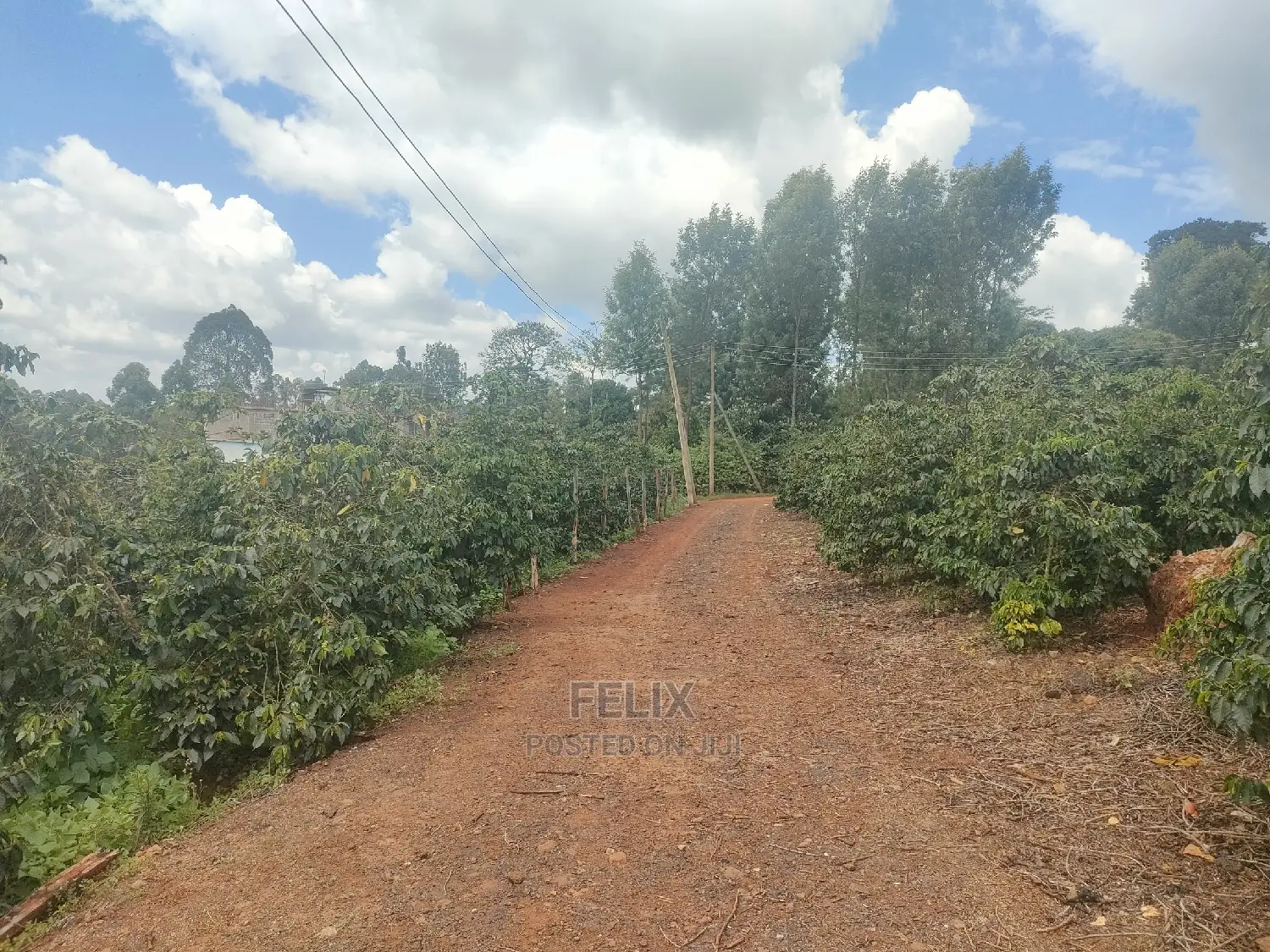 Karatina/Muthua 3 Bedroomed House