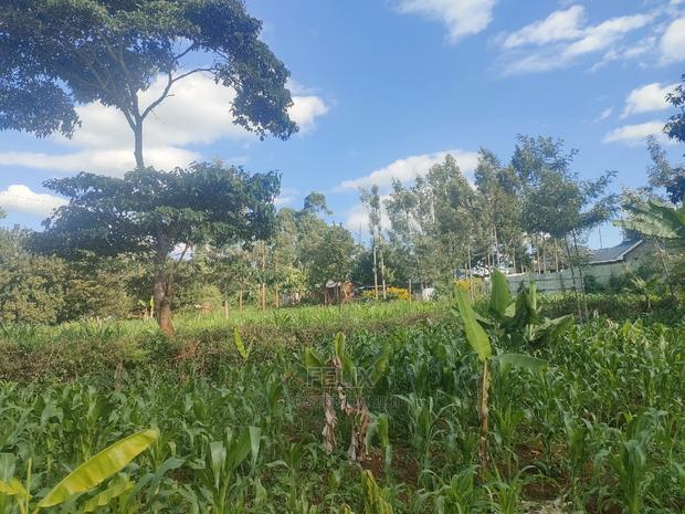 Nyeri/ Chorong'i 50/100 Plot - main view