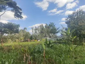 Nyeri/ Chorong'i 50/100 Plot