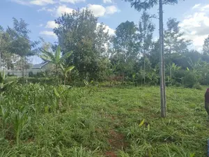 Nyeri/ Chorong'i 50/100 Plot