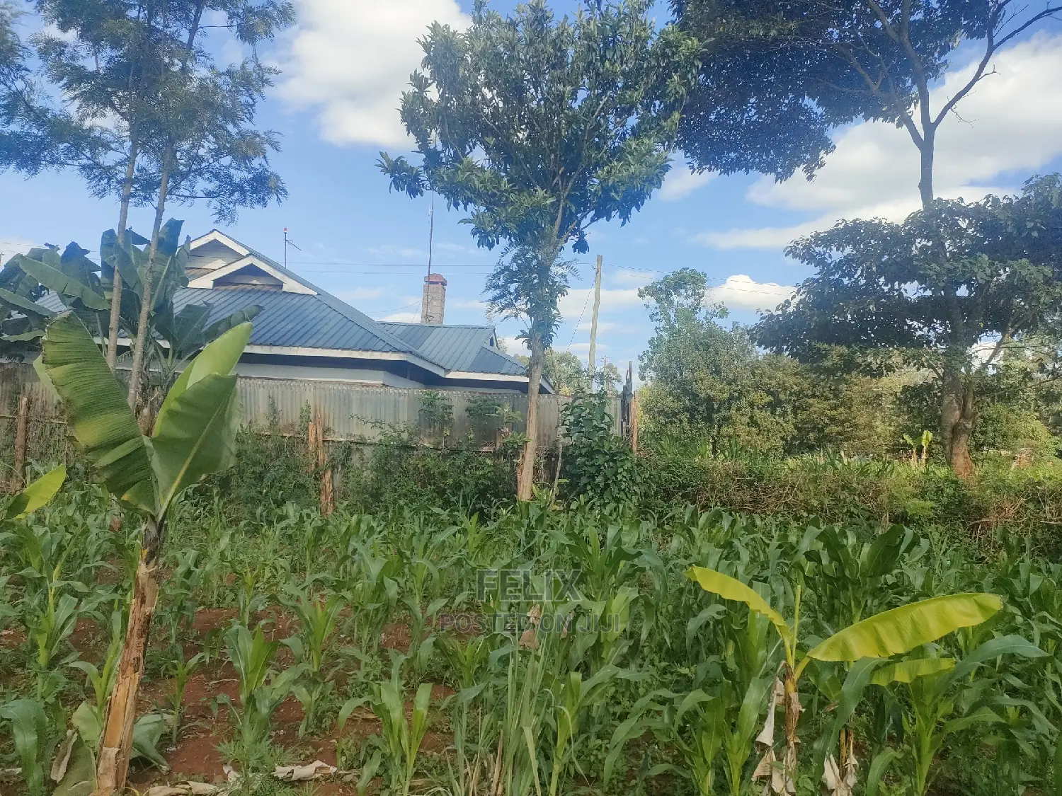 Nyeri/ Chorong'i 50/100 Plot