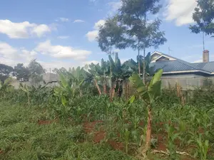 Nyeri/ Chorong'i 50/100 Plot