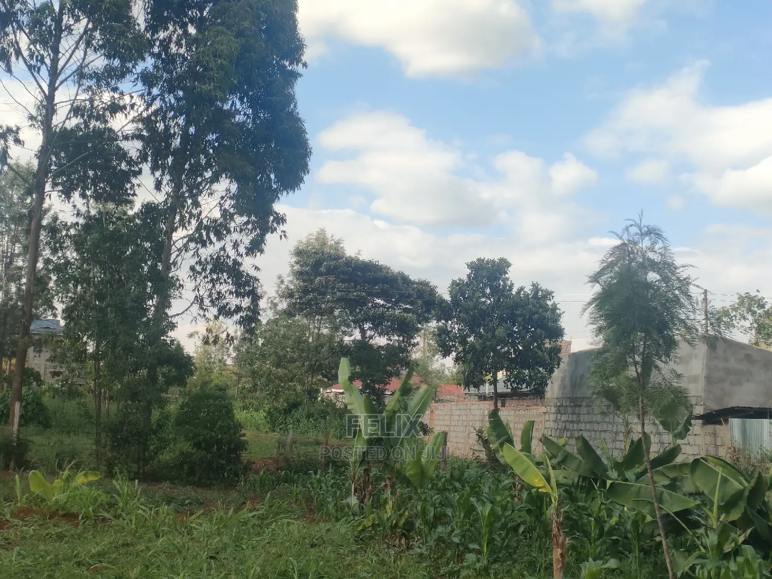 Nyeri/ Chorong'i 50/100 Plot