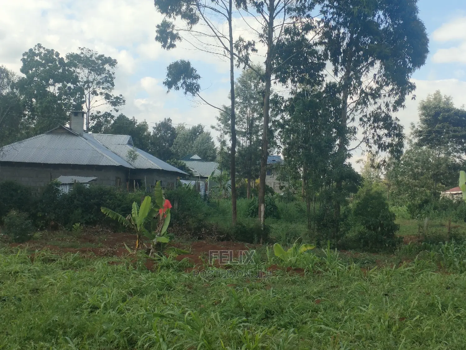 Nyeri/ Chorong'i 50/100 Plot