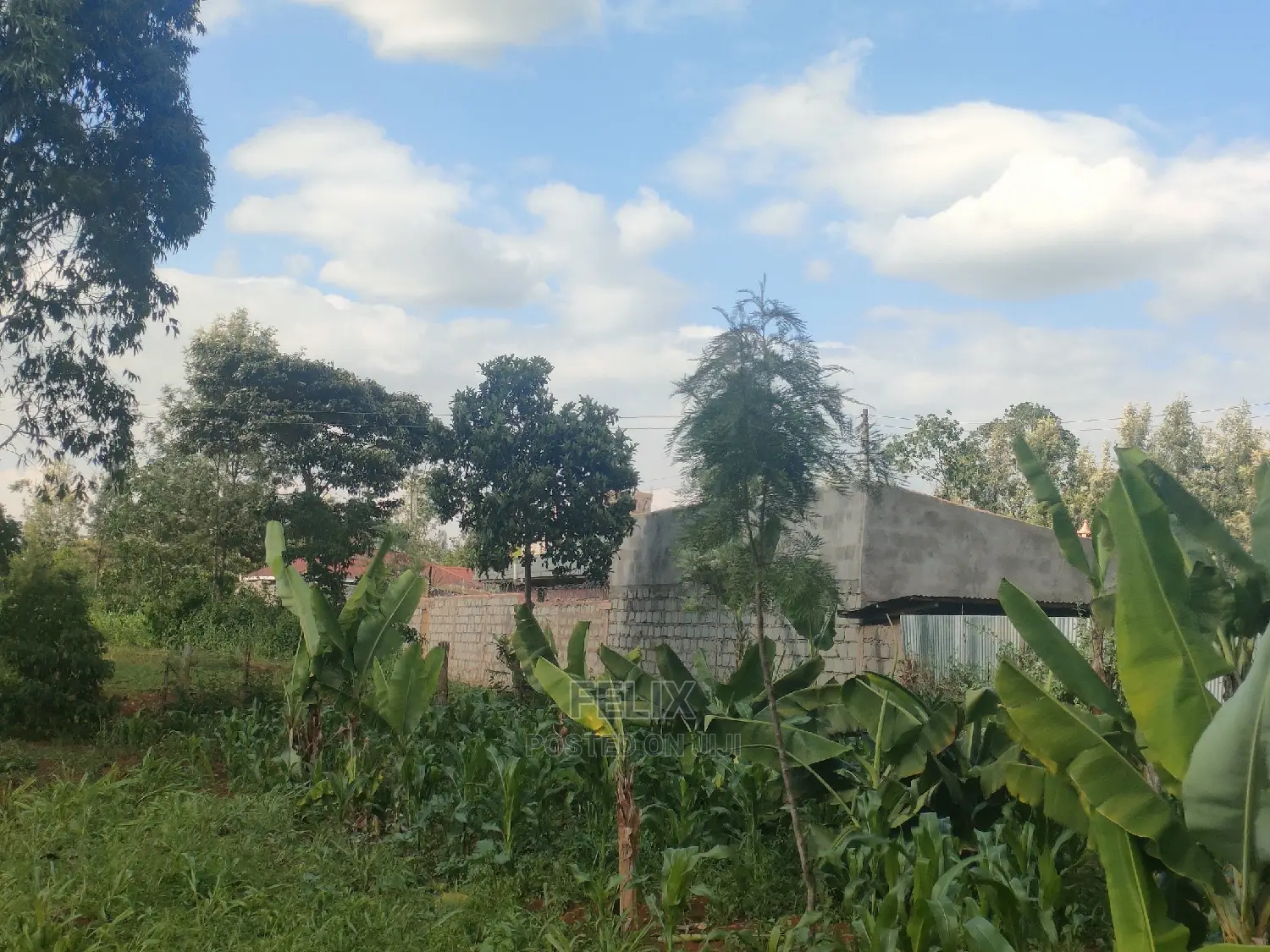 Nyeri/ Chorong'i 50/100 Plot