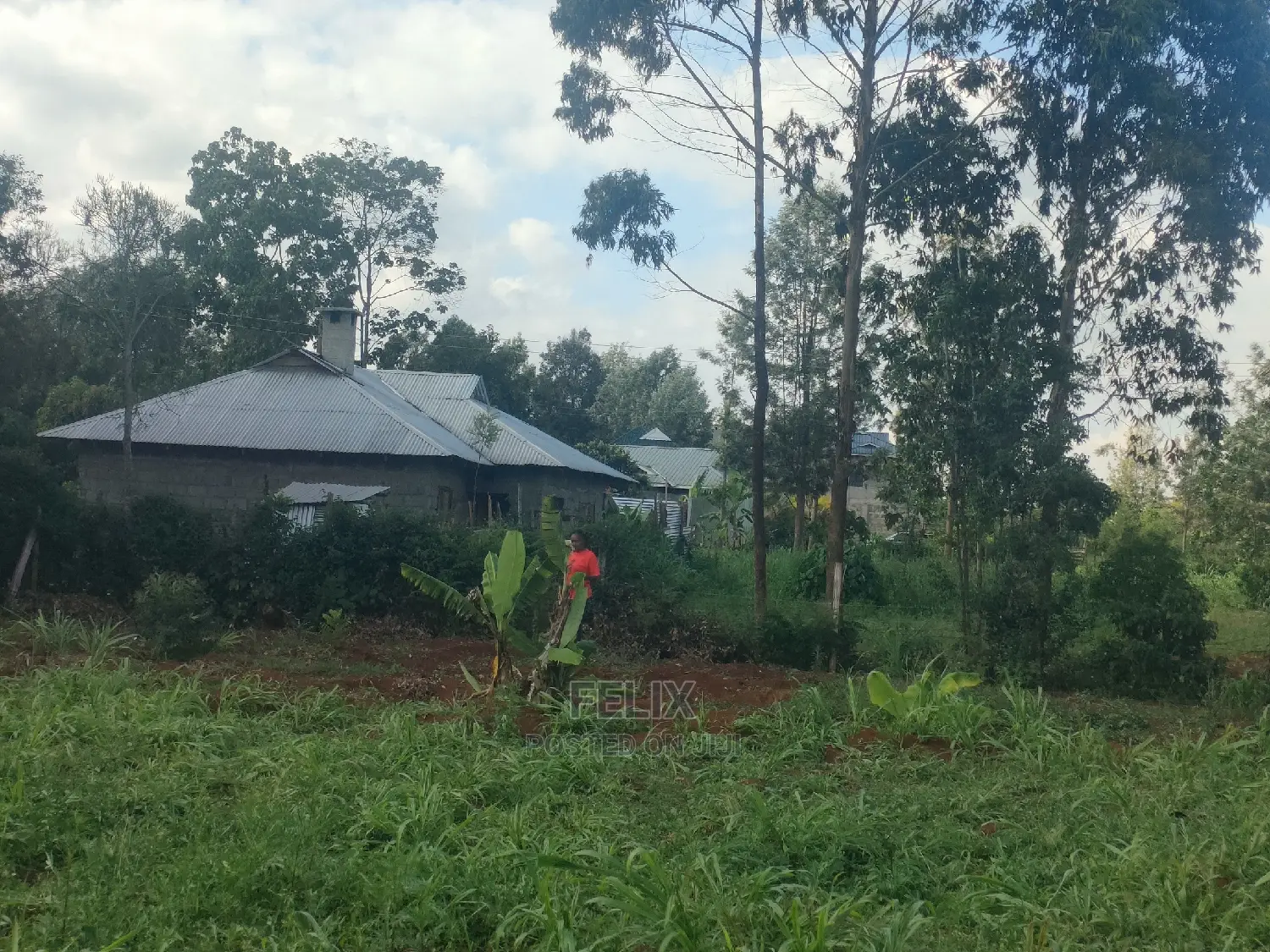 Nyeri/ Chorong'i 50/100 Plot