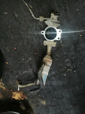 1KD Main Fold