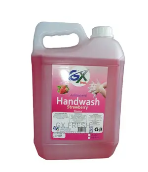 Pink HANDWASH.