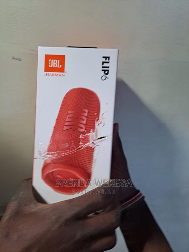 JBL Flip 6
