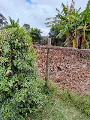 1/8 Plot Kimumu Ideal for Rental or Flatzs