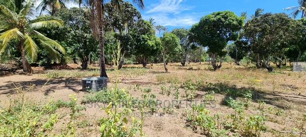 Residential Plots on Sale Mtwapa(Danka Area) - thumbnail 7