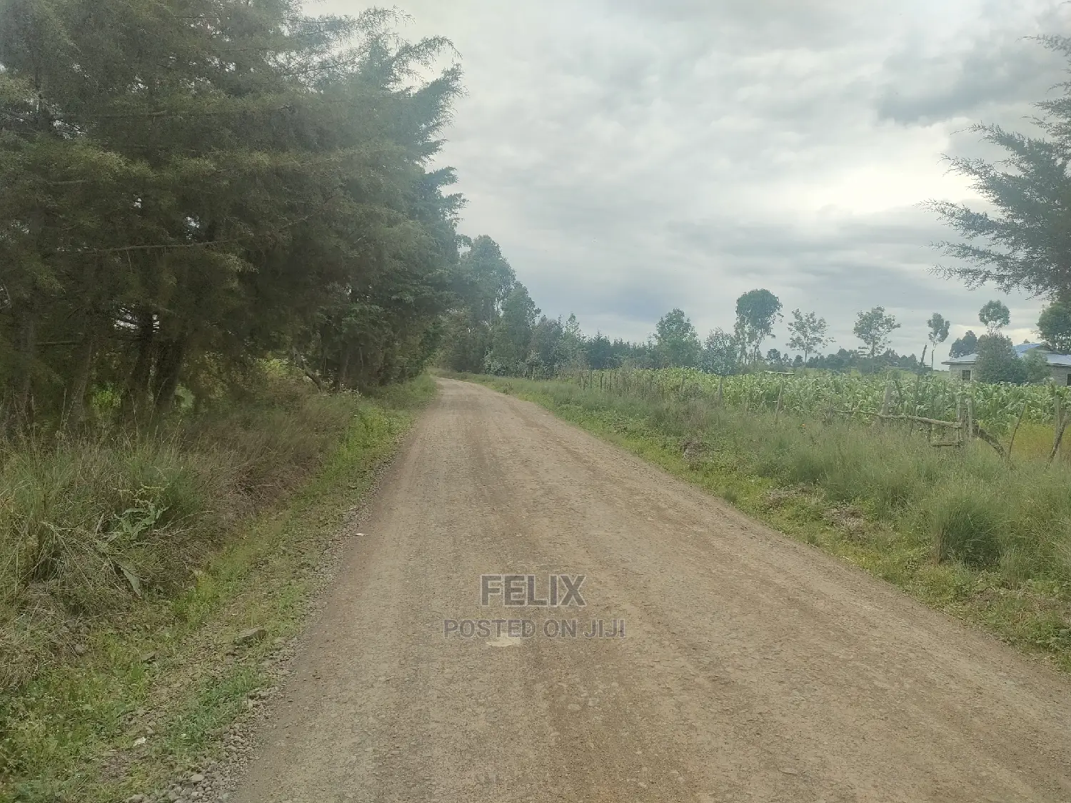 Chaka/Munyu Viewpoint 1 Acre Touching Tarmac