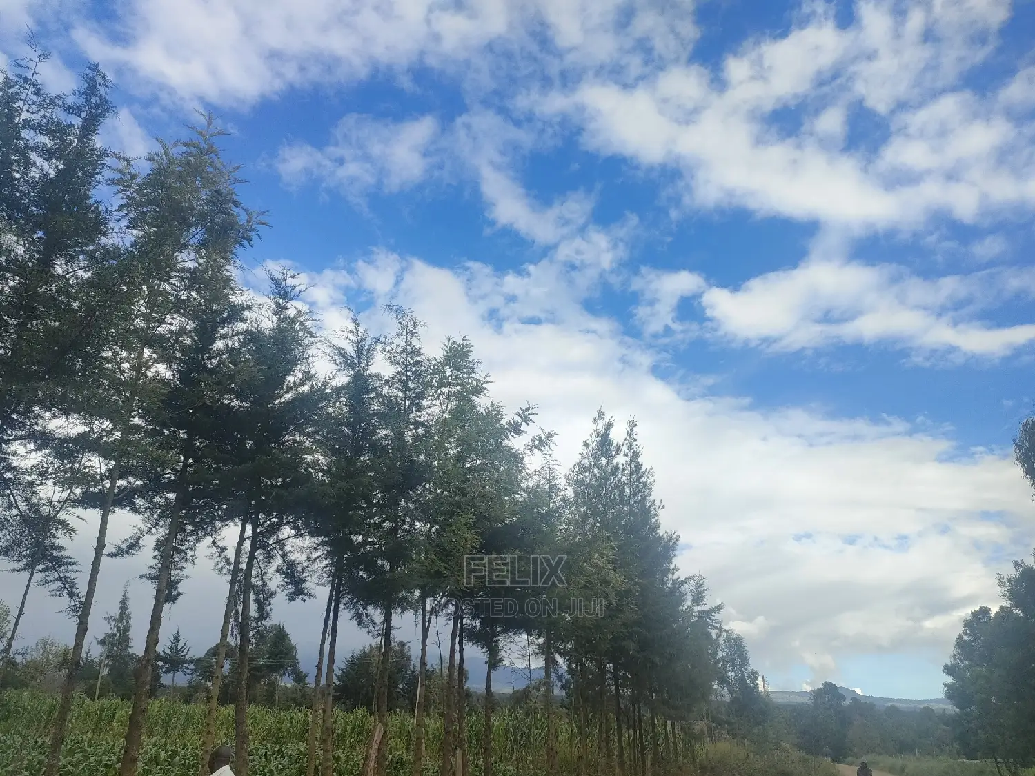 Chaka/Munyu Viewpoint 1 Acre Touching Tarmac