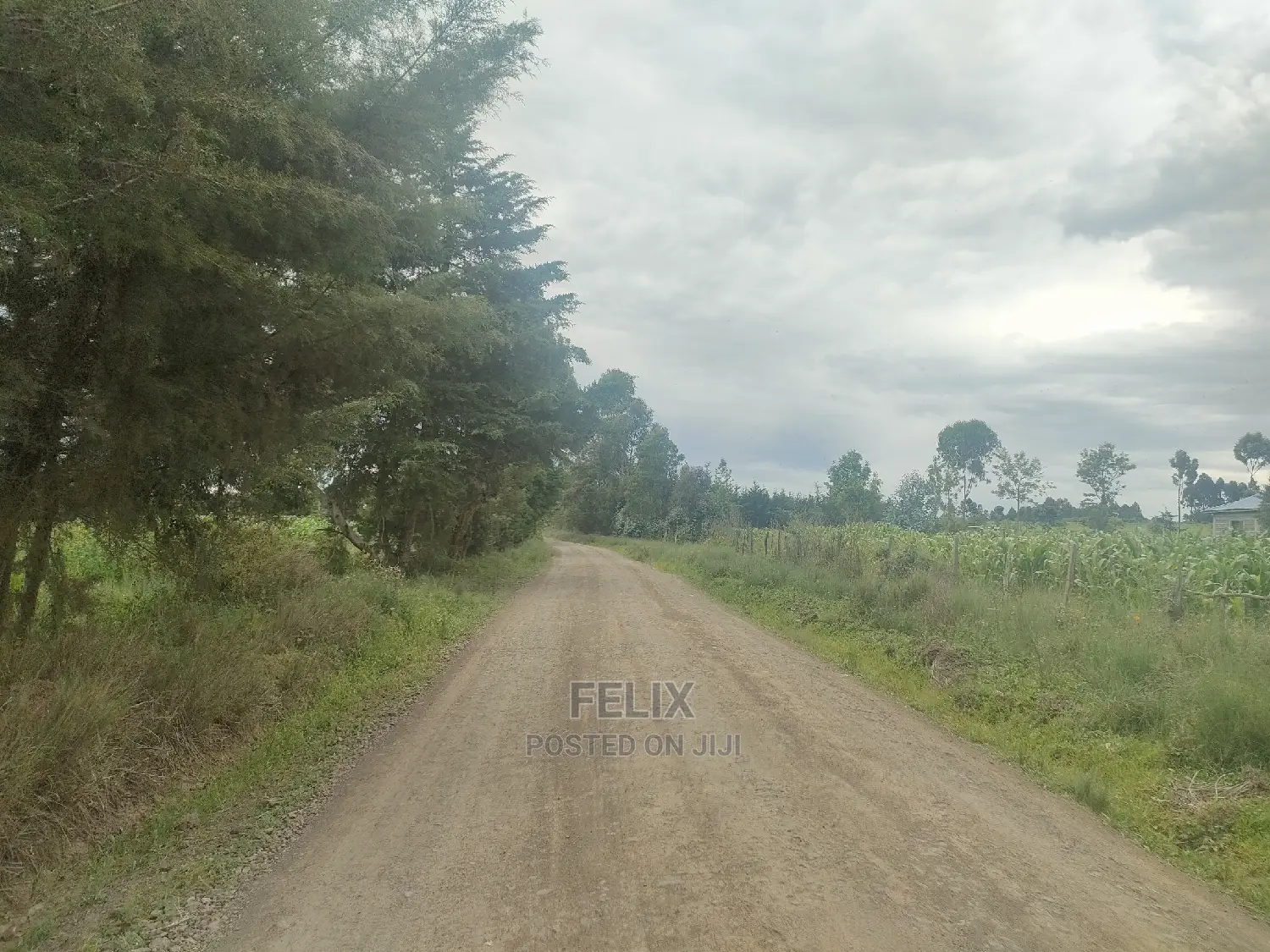Chaka/Munyu Viewpoint 1 Acre Touching Tarmac