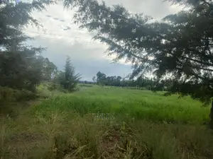 Chaka/Munyu Viewpoint 1 Acre Touching Tarmac