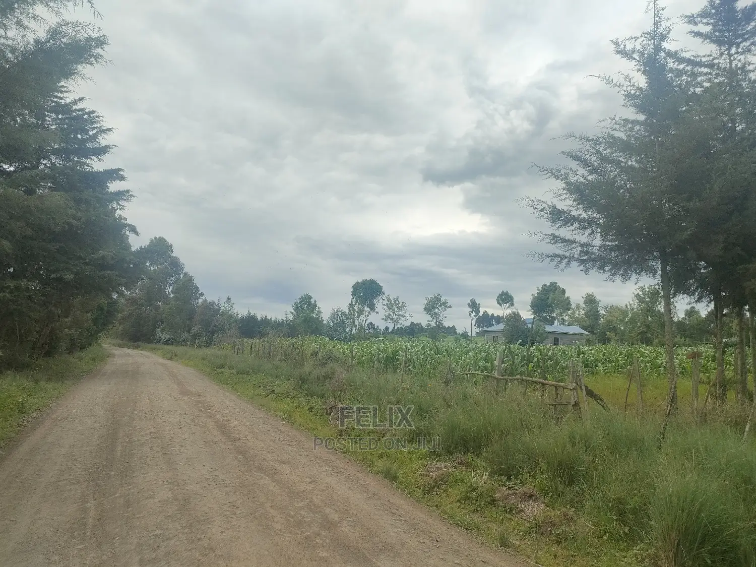Chaka/Munyu Viewpoint 1 Acre Touching Tarmac