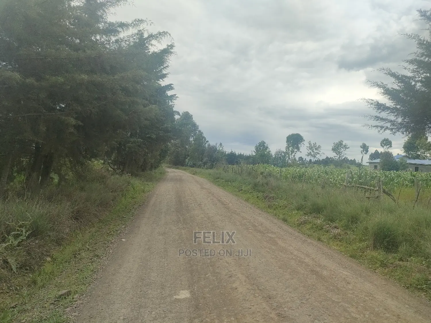 Chaka/Munyu Viewpoint 1 Acre Touching Tarmac