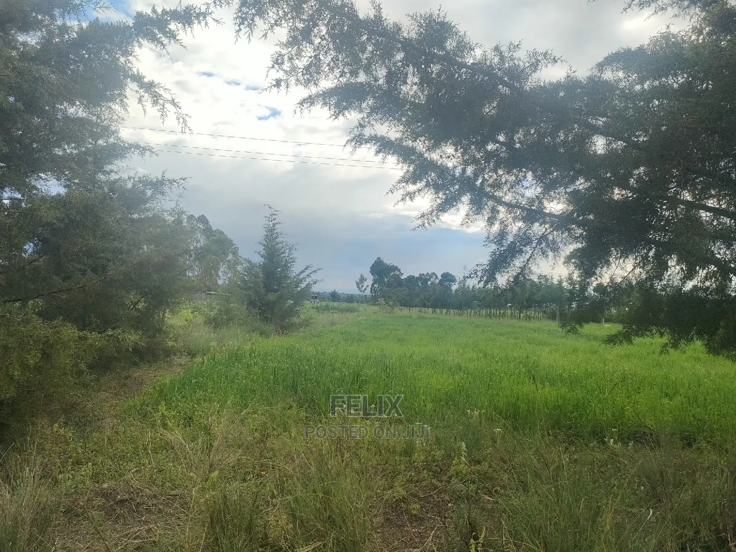 Chaka/Munyu Viewpoint 1 Acre Touching Tarmac