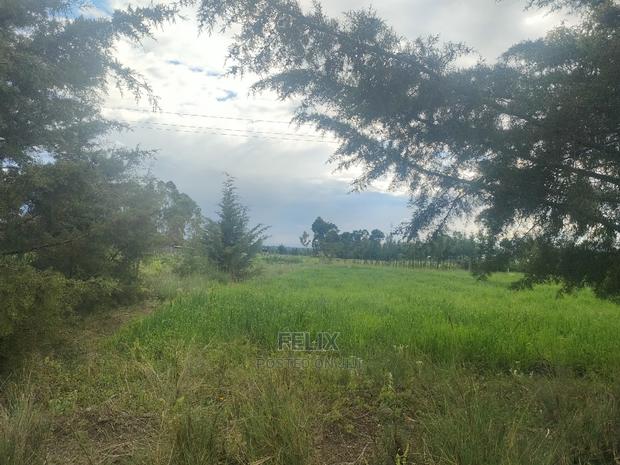 Chaka/Munyu Viewpoint 1 Acre Touching Tarmac - thumbnail 6