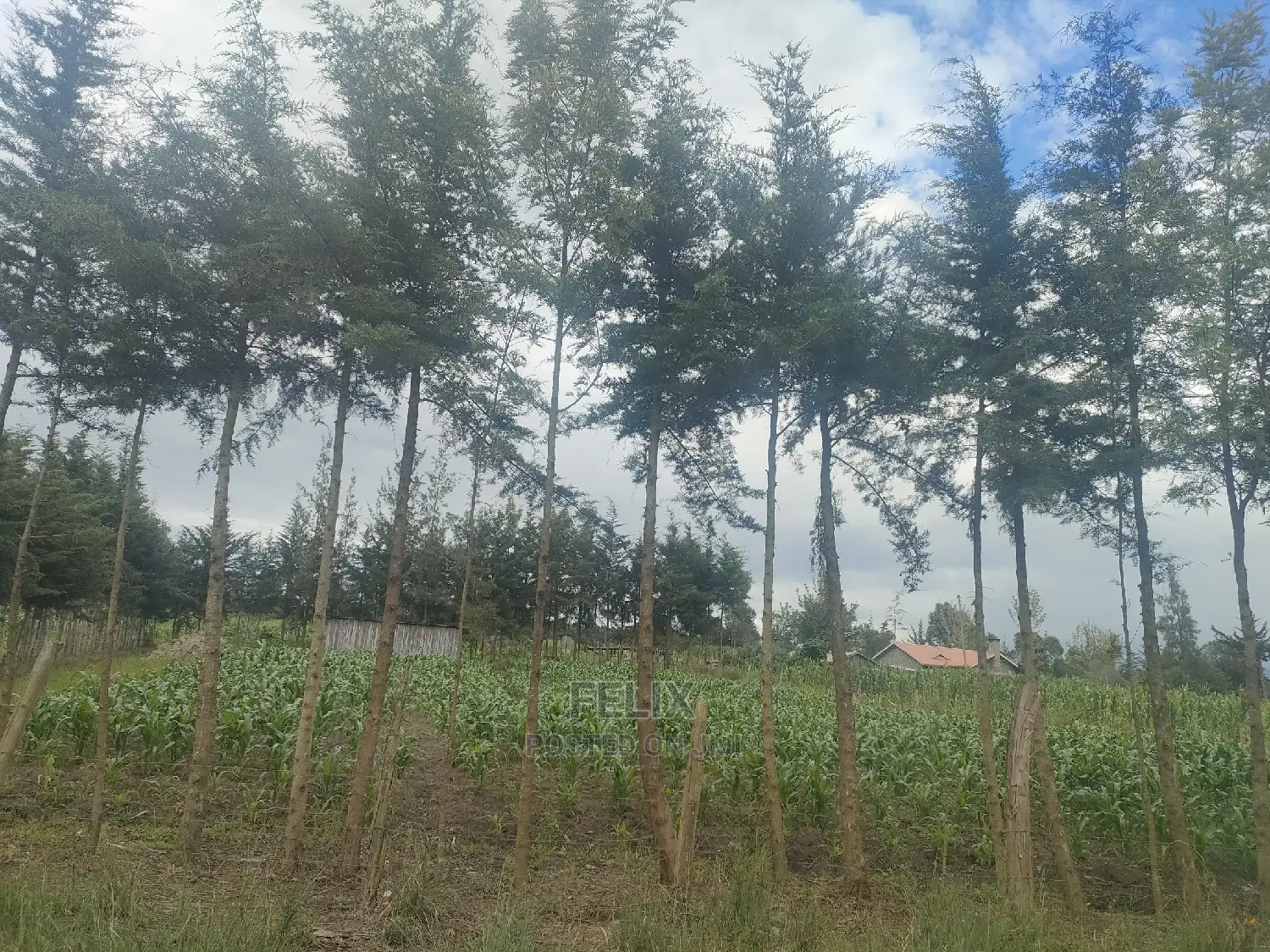 Chaka/Munyu Viewpoint 1 Acre Touching Tarmac