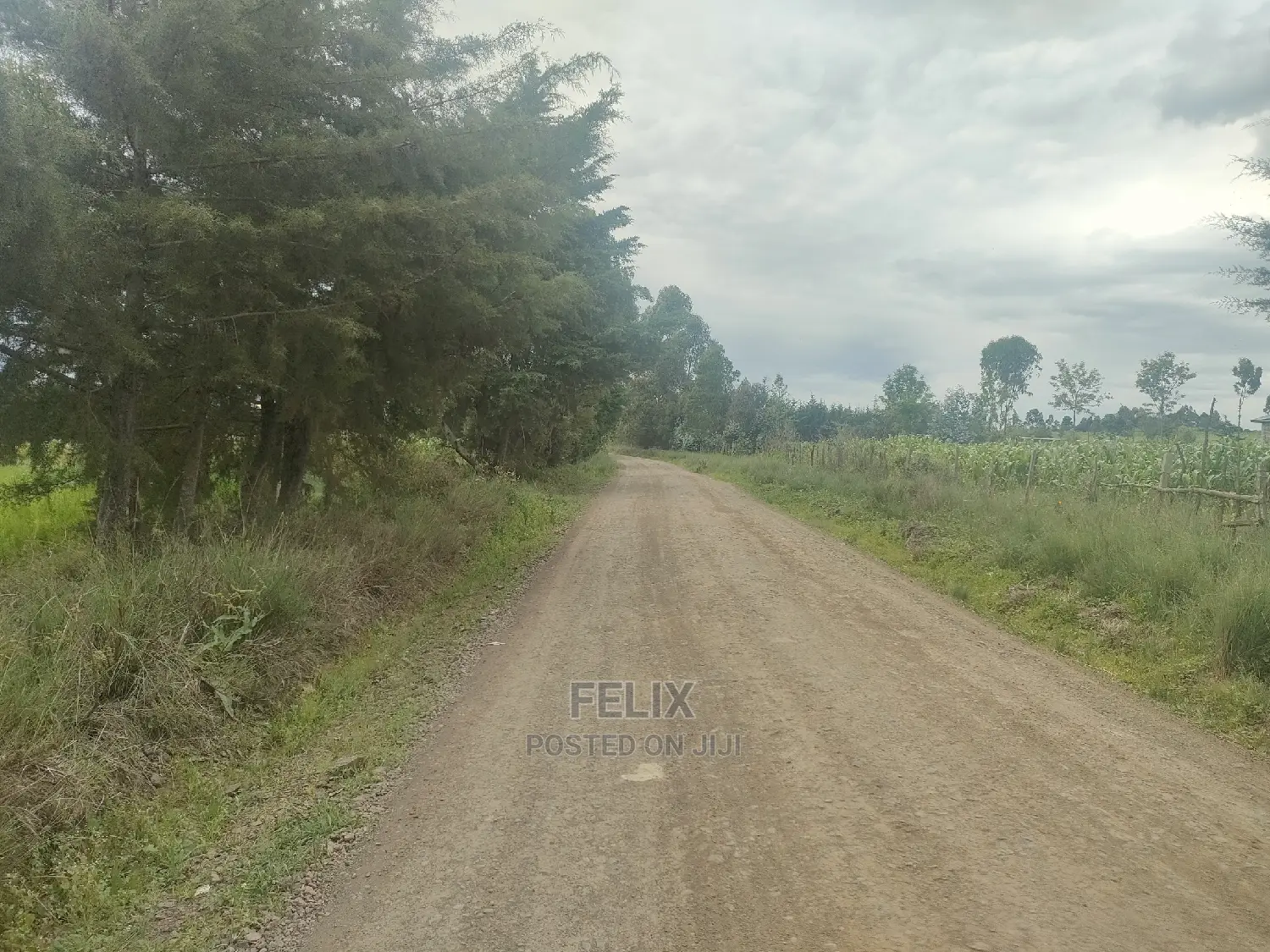 Chaka/Munyu Viewpoint 1 Acre Touching Tarmac